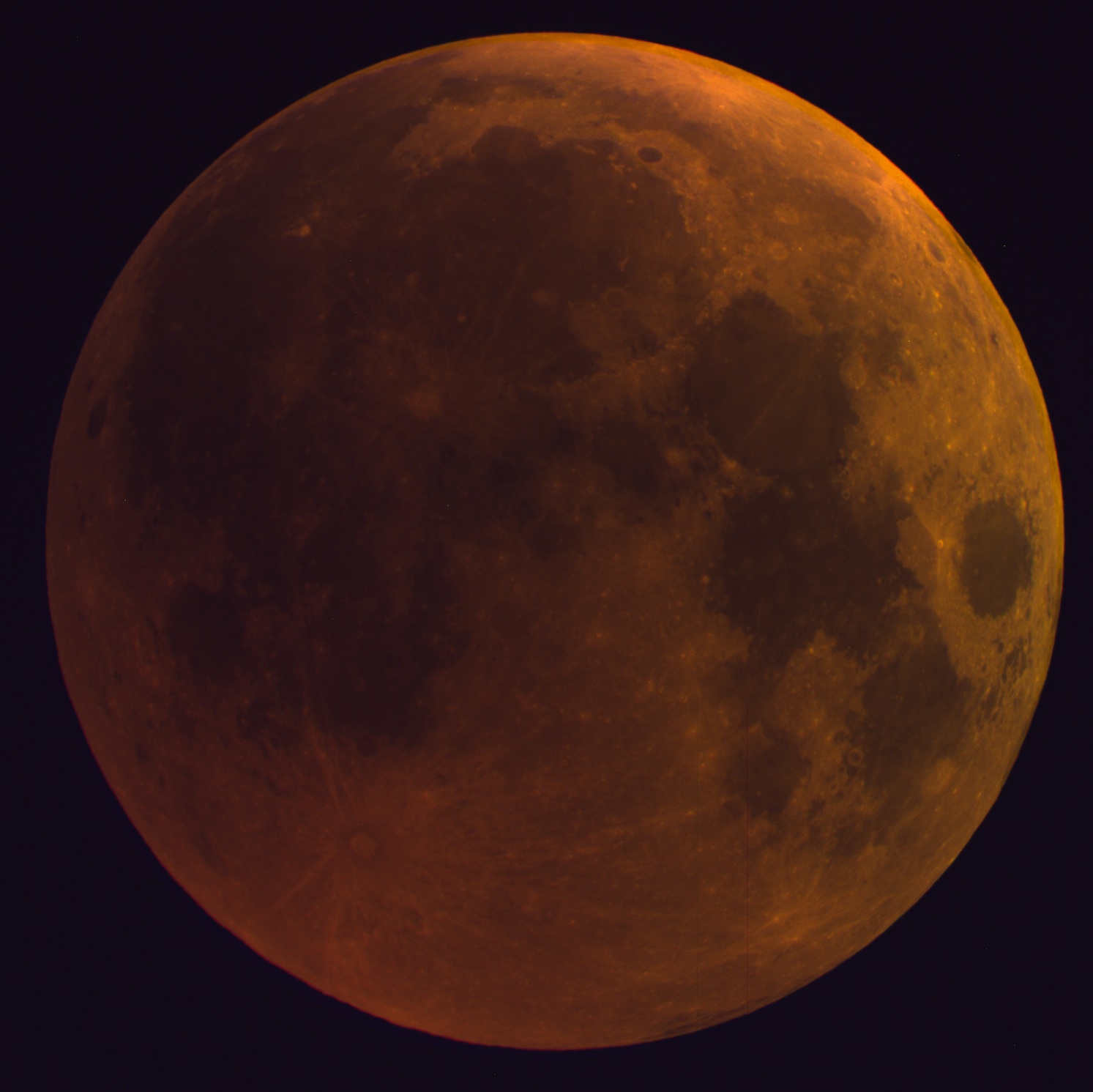 Monfinsternis 2018-07-18 43cm gri